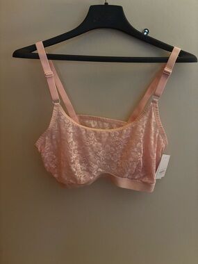 Auden Lace Bralette - Blush Pink Women’s Intimates